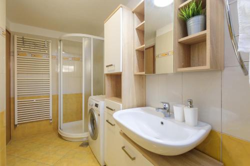 Et badeværelse på Apartment Dragonja