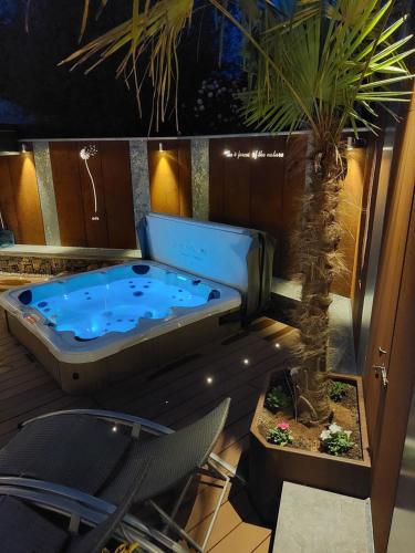 a hot tub sitting on a deck with a palm tree at La Renaissance 1&2 high standing guest house in Herve