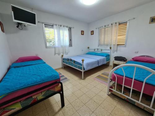 a bedroom with two beds and a flat screen tv at Aviv in Rosh Pina in Rosh Pinna