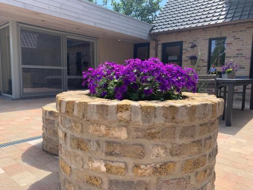 a brick planter with purple flowers on a patio at Vakantiewoning 't Rysselhof in Kaprijke