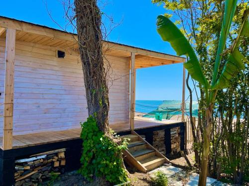 a wooden shack on the beach with a tree at Aqua Palm Resort in Sukhum