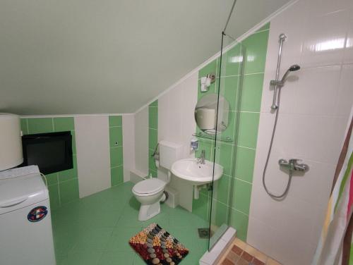 a green and white bathroom with a toilet and a shower at Montenegro Colors in Kamenari