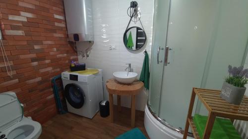 a bathroom with a sink and a washing machine at Domek Adam - Kozy in Kościerzyna