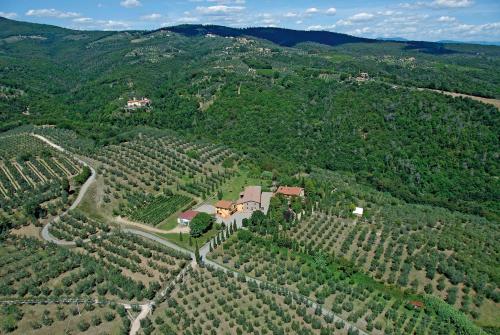 Agriturismo Podere Casalone