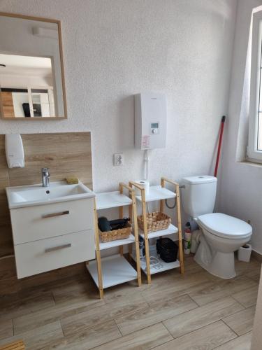 a bathroom with a sink and a toilet at Apartament Nova Kamienica 1 in Łagów