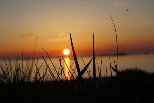 Fotografie z fotogalerie ubytování Lofoten_Beach_Hollyday_House_Eggum v destinaci Eggum