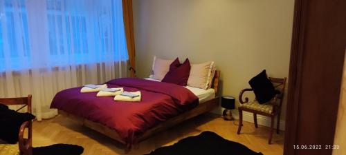 Posteľ alebo postele v izbe v ubytovaní Apartament w modernistycznej kamienicy w Gdyni