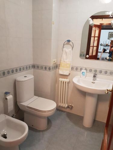 a bathroom with a toilet and a sink at Apartamento Pintor in Cambados