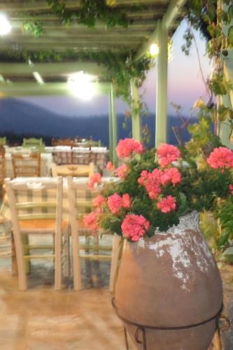 Gallery image of To Asteri in Avgonyma