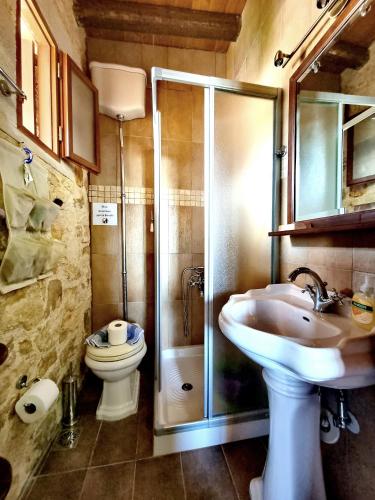 a bathroom with a shower and a sink and a toilet at Virginia - Peaceful Traditional House in Georgioupoli