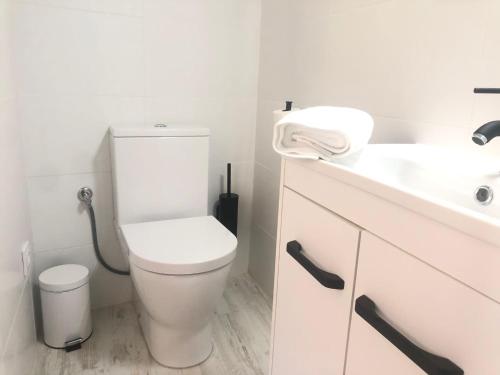 a white bathroom with a toilet and a sink at Plaza Adarve Toledo in Toledo