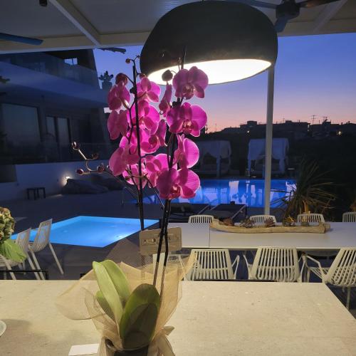 La alberca dentro o cerca de Made of Blue luxury suites collection