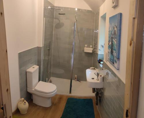 a bathroom with a shower and a toilet and a sink at Stonehaven 2 Bedroom Seaside Cottage with Garden in Stonehaven
