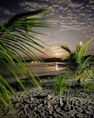 a couple of palm trees on a sandy beach at Pousada Brilho De Paraty in Paraty