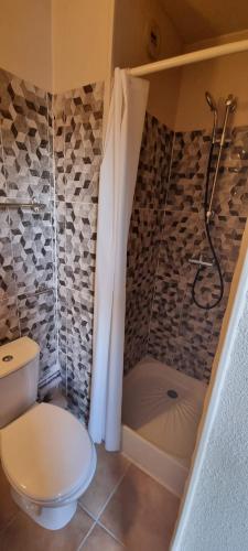 une salle de bain avec toilettes et douche dans l'établissement Jadida studio, à Sète