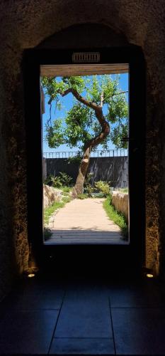 a television screen with a picture of a tree at B&B La Castellina in Abbadia San Salvatore