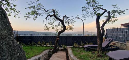 two trees in front of a fence with a bench at B&B La Castellina in Abbadia San Salvatore