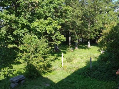 Κήπος έξω από το Gîte charmant avec cheminée et jardin à Marlhes, proche commodités et sentiers de randonnée - FR-1-496-55