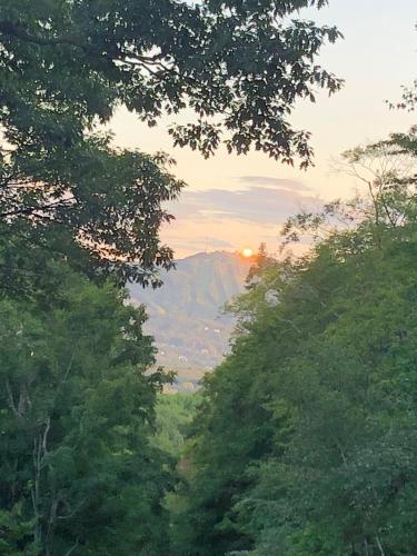 a view of a forest with the sunset in the distance at loft in the mountains, near Bromont in Shefford