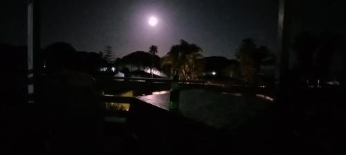 a night view of a park with the moon in the sky at Appartamentino in villa a 2 passi dal mare in Fontane Bianche