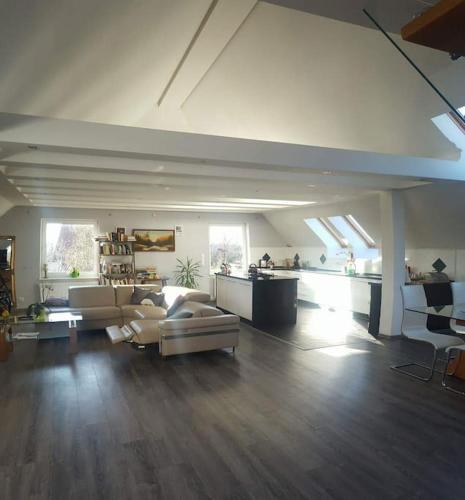 a large living room with couches and a kitchen at Apartamenty Holiday Slaw jacuzzi bilard,zakaz imprez in Ustarbowo