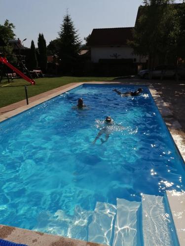 a group of people swimming in a swimming pool at PENSIUNEA KELEMEN in Praid