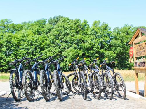 a group of bikes parked in a row at Hiša PRI JEZERU in Dobrovnik