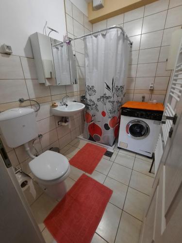 uma casa de banho com um lavatório e uma máquina de lavar roupa em Dona 2 em Sarajevo