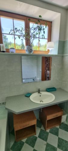 a bathroom with a sink and a mirror at Královský dvůr Bílý potok in Hamry