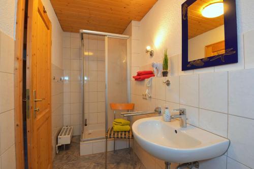 y baño con lavabo y ducha. en Ferienwohnungen Stützel, en Oberellen