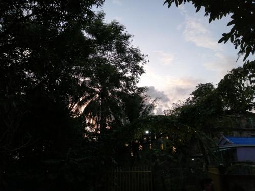 a group of trees with the sky in the background at Kep Melting Potes in Kep