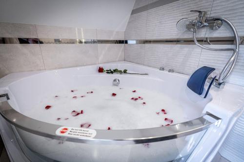 Apartament Queen 1 z Jacuzzi i widokiem na Tatry