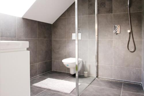 łazienka z prysznicem i toaletą w obiekcie penzion Valentino w mieście Bedřichov