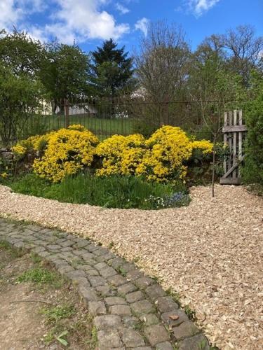 a garden with yellow flowers and a wooden bench at Luxe, landelijke vakantiewoning der alte Birnenbaum Duitsland-Sankt Wendel in Sankt Wendel