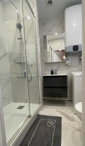 une salle de bain avec douche et toilettes dans l'établissement CALME, EMPLACEMENT PARFAIT, 15 min PARIS, à Saint-Maur-des-Fossés