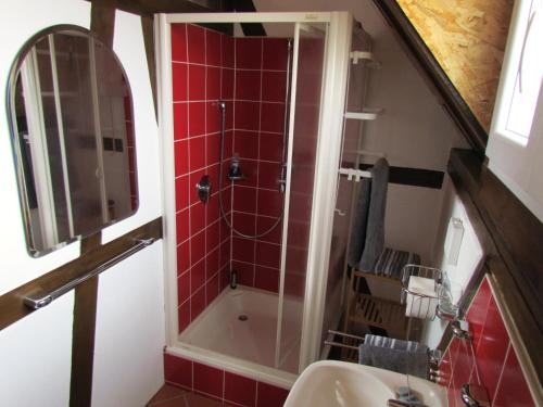 W łazience znajduje się prysznic i umywalka. w obiekcie Gîte des Chateaux-forts w mieście Obersteinbach