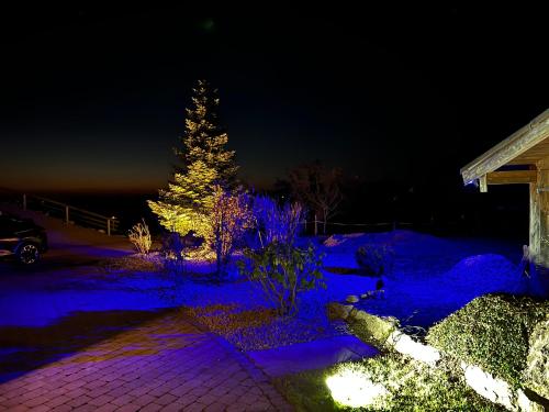 a christmas tree in a yard with blue lights at Schusterhof in Bergen