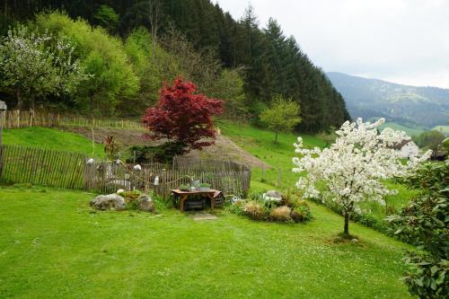 a garden with a table and a tree in the grass at Höllkopf - Stubenhof, Black Forest in Simonswald