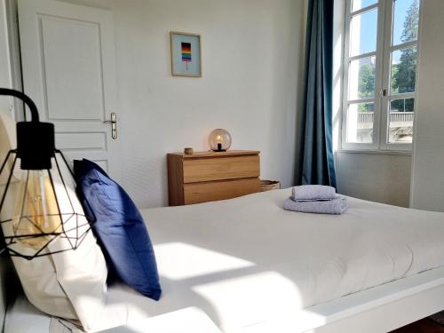 a bedroom with a bed with blue pillows and a window at Confortable T2 sur les rives de la Charente in Angoulême