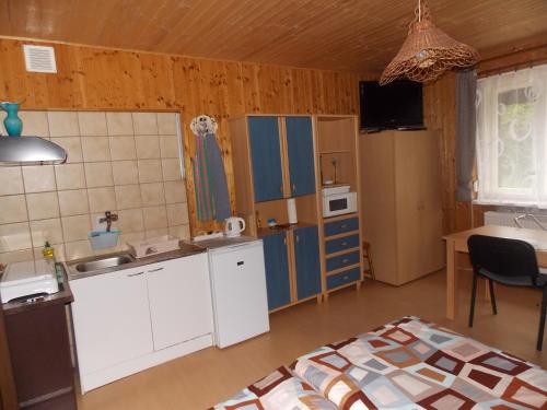 a kitchen with blue cabinets and a table in a room at Ubytovani U Švýcarů in Turnov