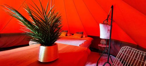a red room with two beds and a potted plant at Fiertelmeers Boutique Glamping in Ronse