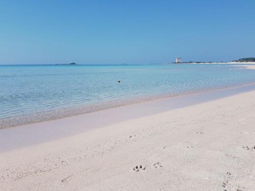 a beach with footprints in the sand and the water at Hotel Posidonia in Porto Cesareo