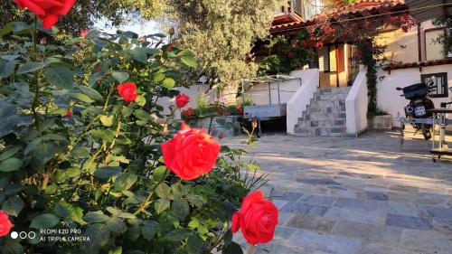 Gallery image of Panorama in Eretria