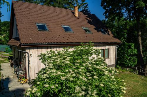 a house with a roof with a bush in front of it at Mantara Vendégház in Matraszentlaszlo