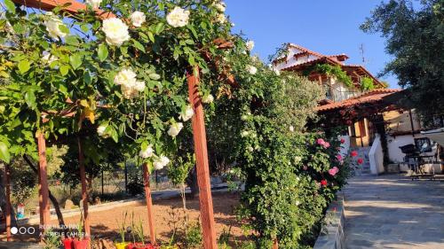 Gallery image of Panorama in Eretria