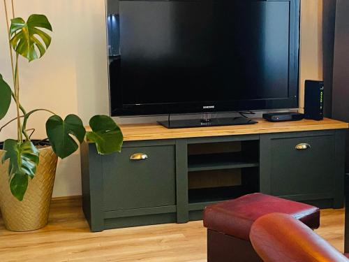 a television sitting on top of a cabinet with a plant at Apartamenty Teatralne in Gorzów Wielkopolski