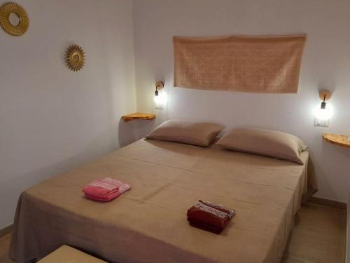 1 dormitorio con 1 cama grande y 2 almohadas en Grazioso bilocale in centro, en Lotzorai