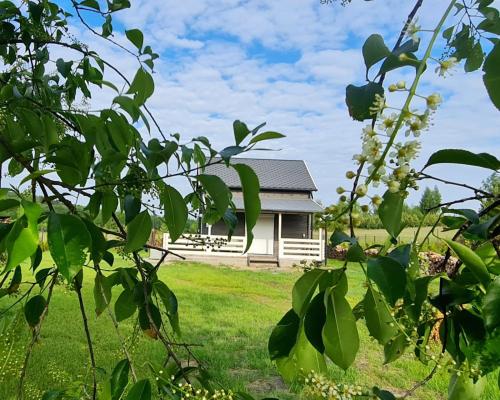 una pequeña casa blanca en medio de un patio en Szary Domek 3 jacuzzi kominek jezioro klimatyzacja, en Piotrków Kujawski