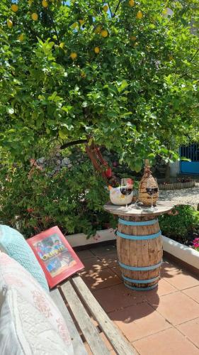 Vonkajšia záhrada v ubytovaní Giardino Dei Limoni Apartment