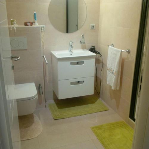 une salle de bain avec un lavabo, des toilettes et un miroir dans l'établissement Apartment in Saint-Genis, à Saint-Genis-Pouilly